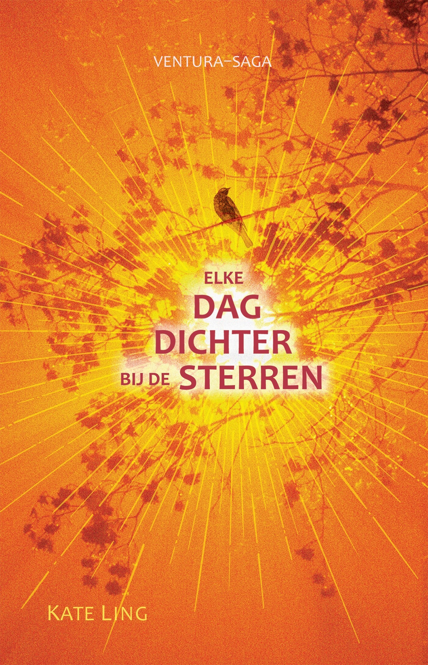 Elke dag dichter bij de sterren