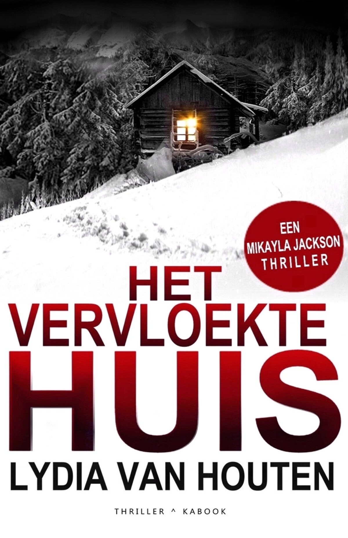 Het vervloekte huis