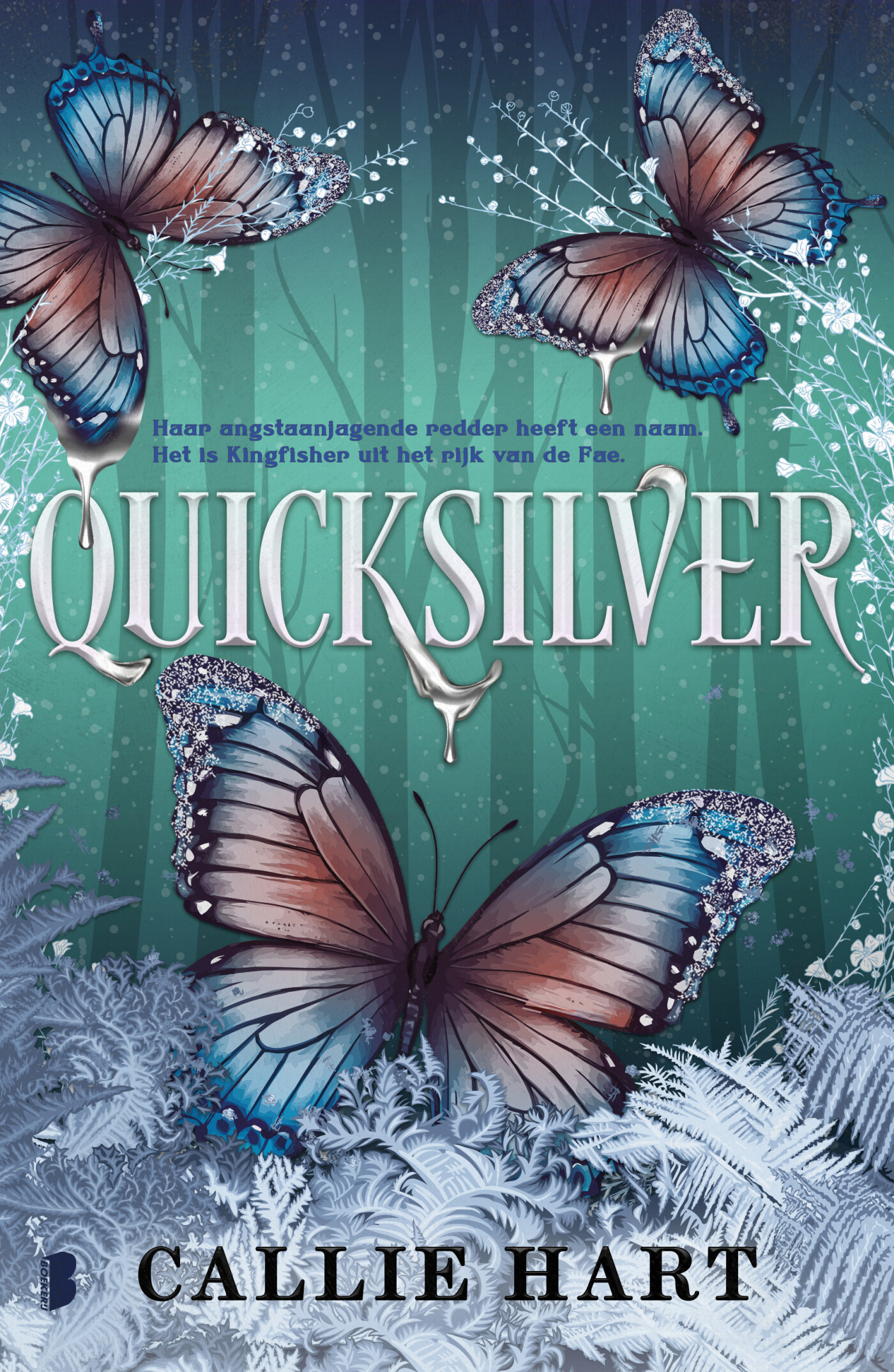 Quicksilver limited edition