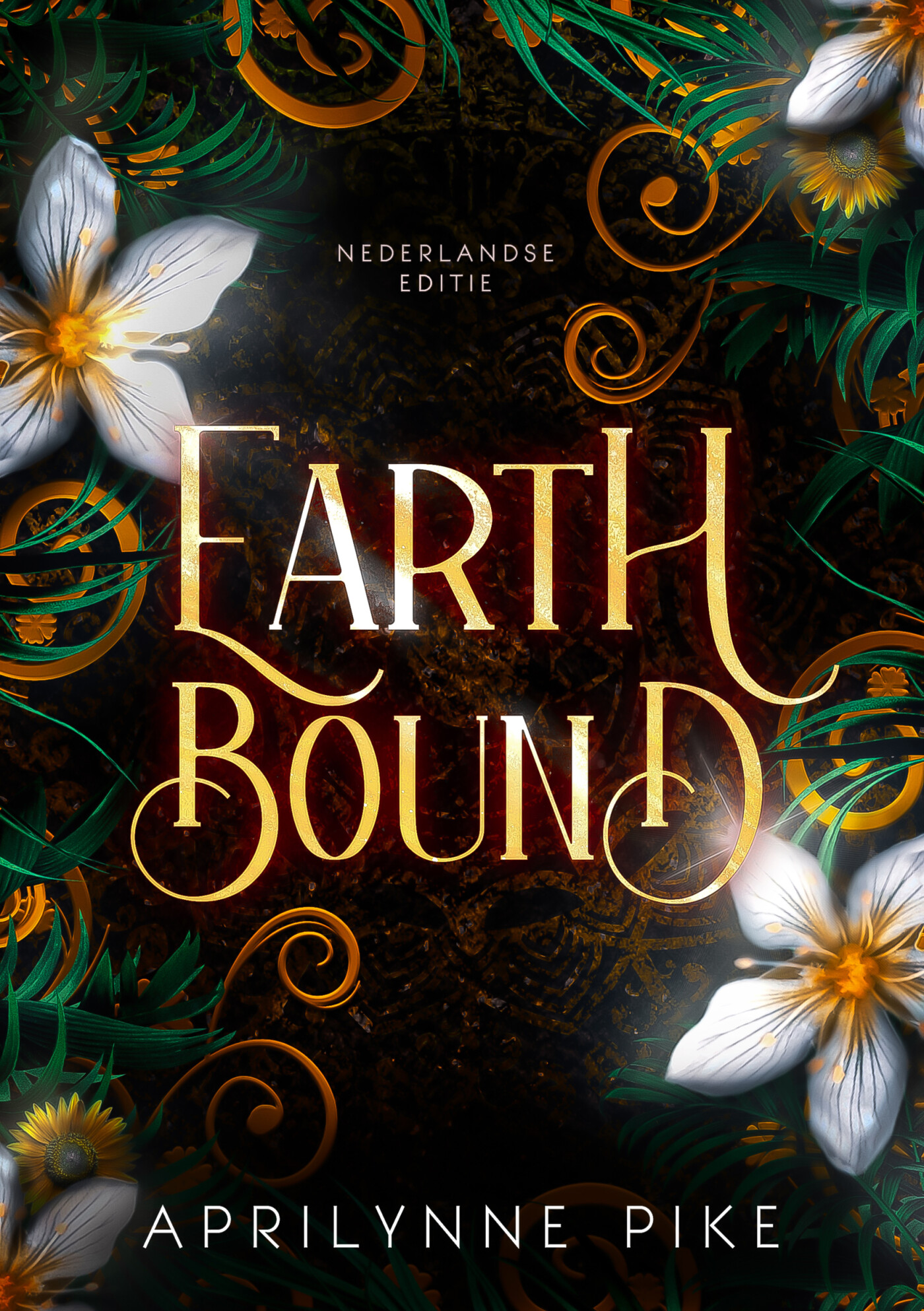 Earthbound - Nederlandse editie